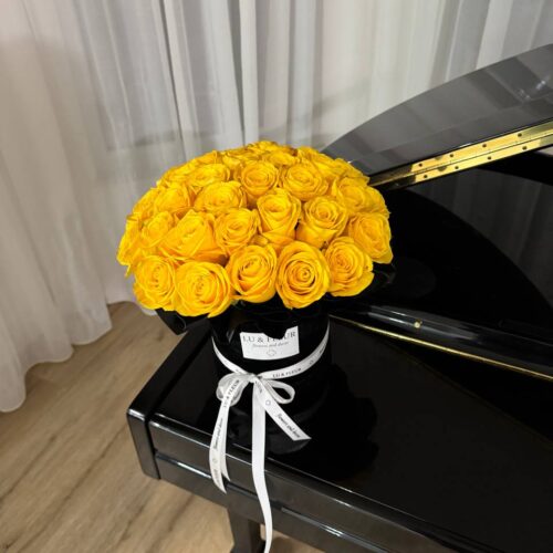 Sunlight Sonata