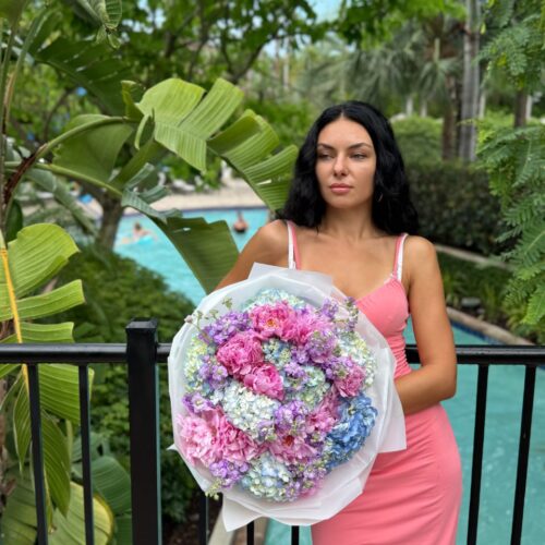 Hydrangea Muse