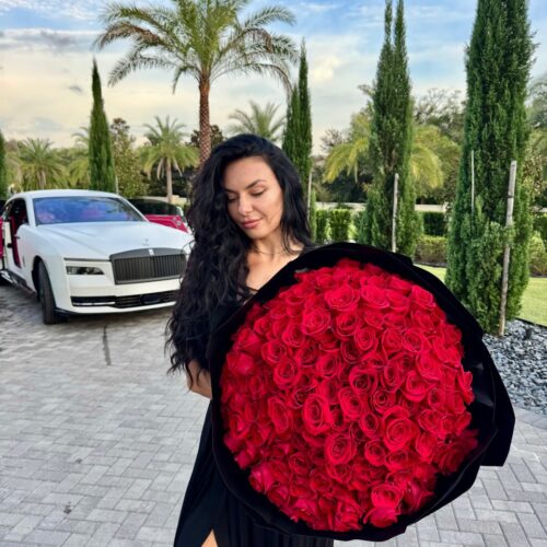 Scarlet Roses